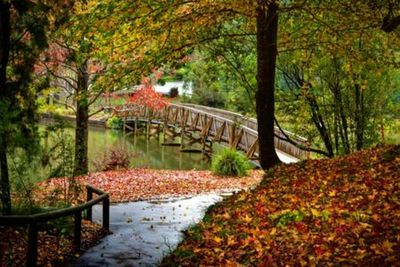 Puffing Billy Steam Train: Belgrave to Gembrook Return Ticket - photo 3