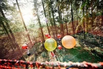 WOW PARK Skjern: Входной билет - photo 4