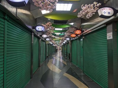 Tokyo: Self-Guided Audio Walk Through Asakusa and Ueno - photo 3