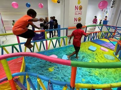 Институт Sloomoo - Чикаго: Входной билет - photo 4