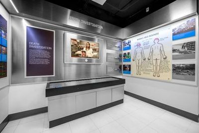 Музей Моб: Входной билет - photo 4