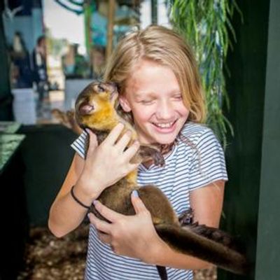 Аквариум Сан-Антонио: Входной билет - photo 3