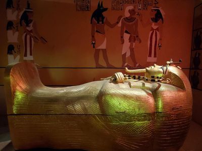 Музей естественной истории Лас-Вегаса: Входной билет - photo 3