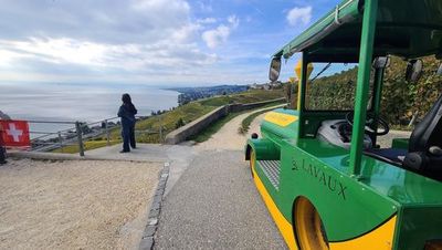 Lavaux : balade audio autoguidée au cœur des vignes en terrasses - photo 4
