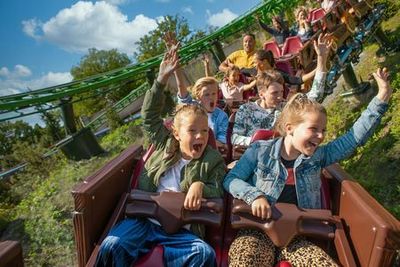 Эфтелинг: Входной билет - photo 3