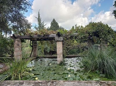 Sóller: Self-Guided Audio Walk Through Mallorca’s Native Flora - photo 4