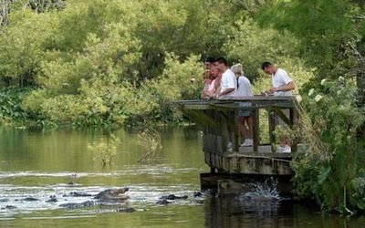 Gatorland Orlando: Билет с входом без очереди - photo 4