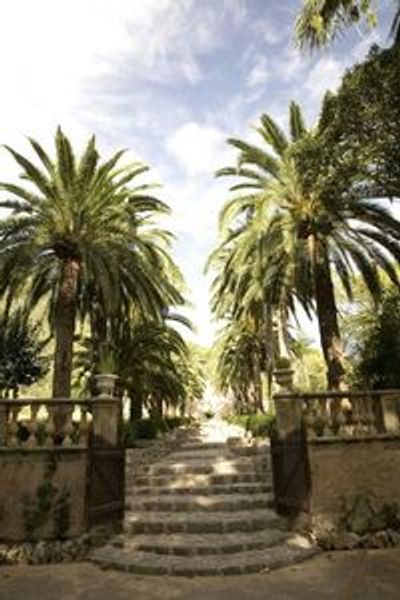 Jardines de Alfabia: Билет с входом без очереди - photo 4