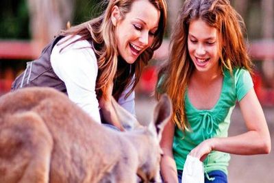 Заповедник Currumbin Wildlife Sanctuary and TreeTop Challenge: комбинированный билет - photo 4