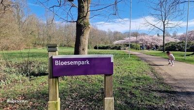 Amstelveen: Self-Guided Audio Walk Through Bloom and Leisure - photo 3