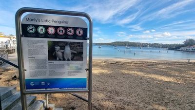 Manly: Self-Guided Audio Walk Through Art by the Sea - photo 3
