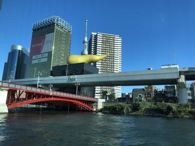 Tokyo: Self-Guided Audio Tour Through Tradition and Trend - photo 4