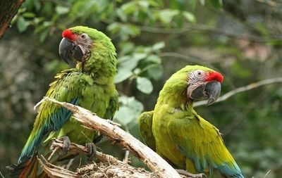Zoo des Sables-d'Olonne: Entry Ticket - photo 3