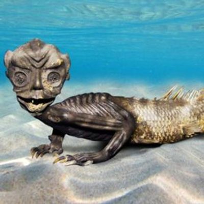 Ripley 's Believe It or Not! Сент-Огастин: Входной билет - photo 4