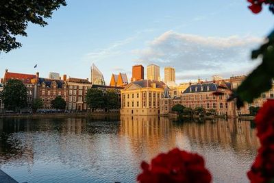 The Hague: The Mauritshuis Museum Ticket and a Self-Guided Audio Walk Through the City - photo 3