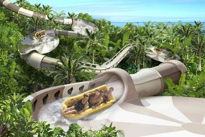 Парк Loro Parque и Аквапарк Siam Park: Входной билет - photo 4