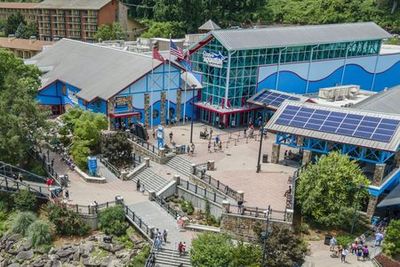 Аквариум Ripley 's Aquarium of the Smokies: Входной билет - photo 3