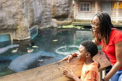 Зоопарк в Лоури-парке: Билет с быстрым входом - photo 3