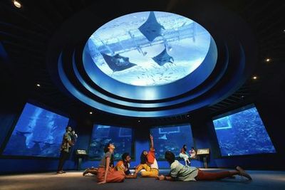 S.E.A. Aquarium™ Сингапур: Входной билет - photo 4
