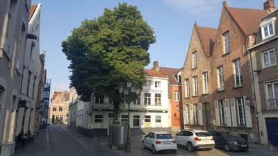 Bruges: Self-Guided Audio Walk Through Canals and Courtyards - photo 4