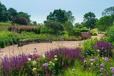 RHS Garden Hyde Hall: Входной билет - photo 3