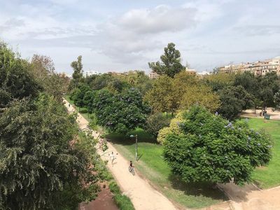 Cultural Bike Tour in Valencia: Turia Park and City Center, from Ancient Gates to Modern Wonders - photo 3