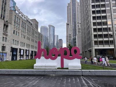 Chicago: Self-Guided Audio Walk Through the Lakefront and Loop - photo 4