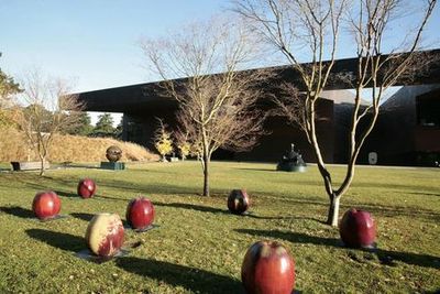 Музей де Янга: Входной билет - photo 4