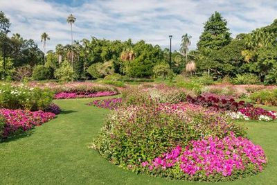 Brisbane: Botanic Gardens Audio Tour - photo 4