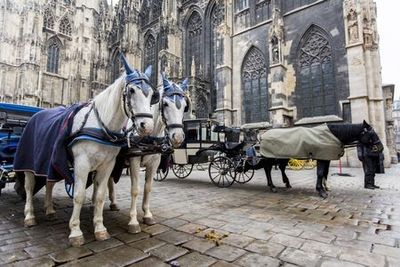 Vienna: Cathedral Quarter Audio Tour - photo 4