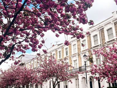 London: Exploring Mayfair's Elegance Audio Tour - photo 4