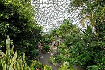 Bloedel Conservatory: Входной билет - photo 3