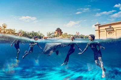 Aquaventure: Входной билет + плавание с дельфинами в деревне Атлас - photo 4