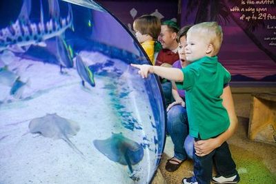 SEA LIFE Сан-Антонио: Входной билет - photo 3