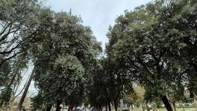 Roma: Paseo autoguiado por la Ciudad Eterna - photo 3