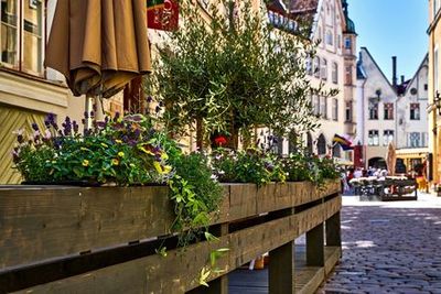 Tallinn: Self-Guided Audio Walk Through the Medieval Old Town - photo 4