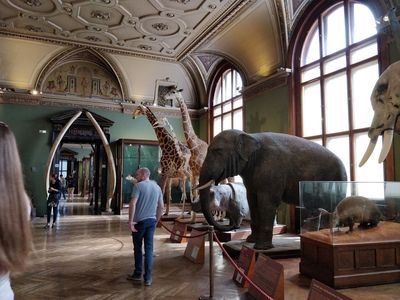 Vienna: Weltmuseum Wien Heldenplatz Ticket & Landmarks Audio Tour - photo 4