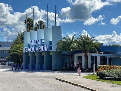 Miami: Skyviews Ticket & Sightseeing Audio Tour - photo 4