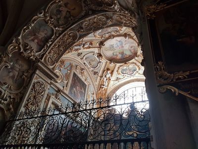 Vienna's Cultural Journey with Museum of Modern Art Ticket - photo 4