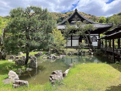 Kyoto: Modern Art Museum Ticket & Urban Exploration Audio Tour - photo 3