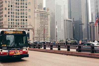 Urban Chicago: Walking Along the Iconic Historic Sites and Stunning Skyline - photo 4