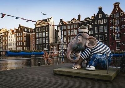 Amsterdam: Entrada al Palacio Real y audioguía con paseo por la ciudad - photo 4