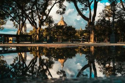 Jerez de la Frontera: Domecq Palace Ticket and Audio City Walk - photo 3