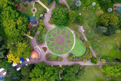 Brisbane: Botanic Gardens Audio Tour - photo 3