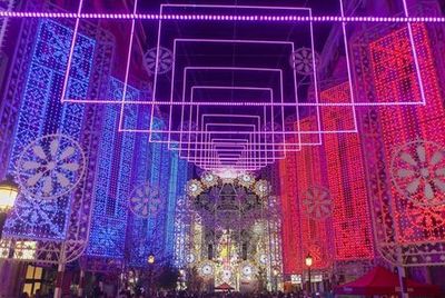 Valencia: Las Fallas Self-Guided Bike Tour (Carrer del Pare d'Orfens, 6) - photo 4