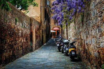 Uncover Siena's Secrets: Self-Guided Audio Tour - photo 4