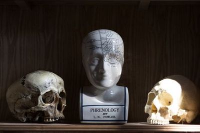 Sick To Death: Entry Ticket - photo 4