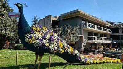 Sirmione: Timeless Legends Audio Tour - photo 4