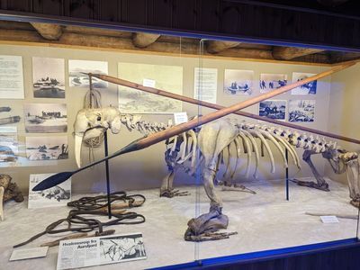 Tromso: Arctic Beauty & Culture Audio Tour - photo 4