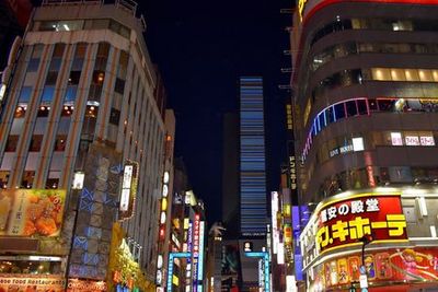 Tokyo: Shinjuku's Secret Paths Audio Tour - photo 4